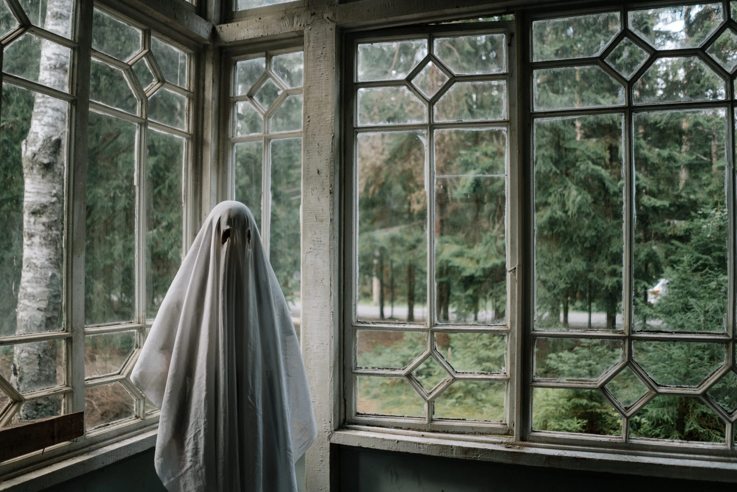 Photograph of a ghost standing by a window