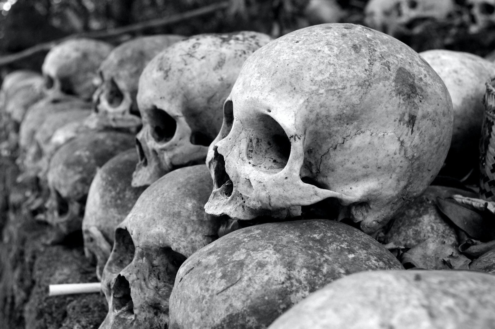 A row of human skulls symbolizing death