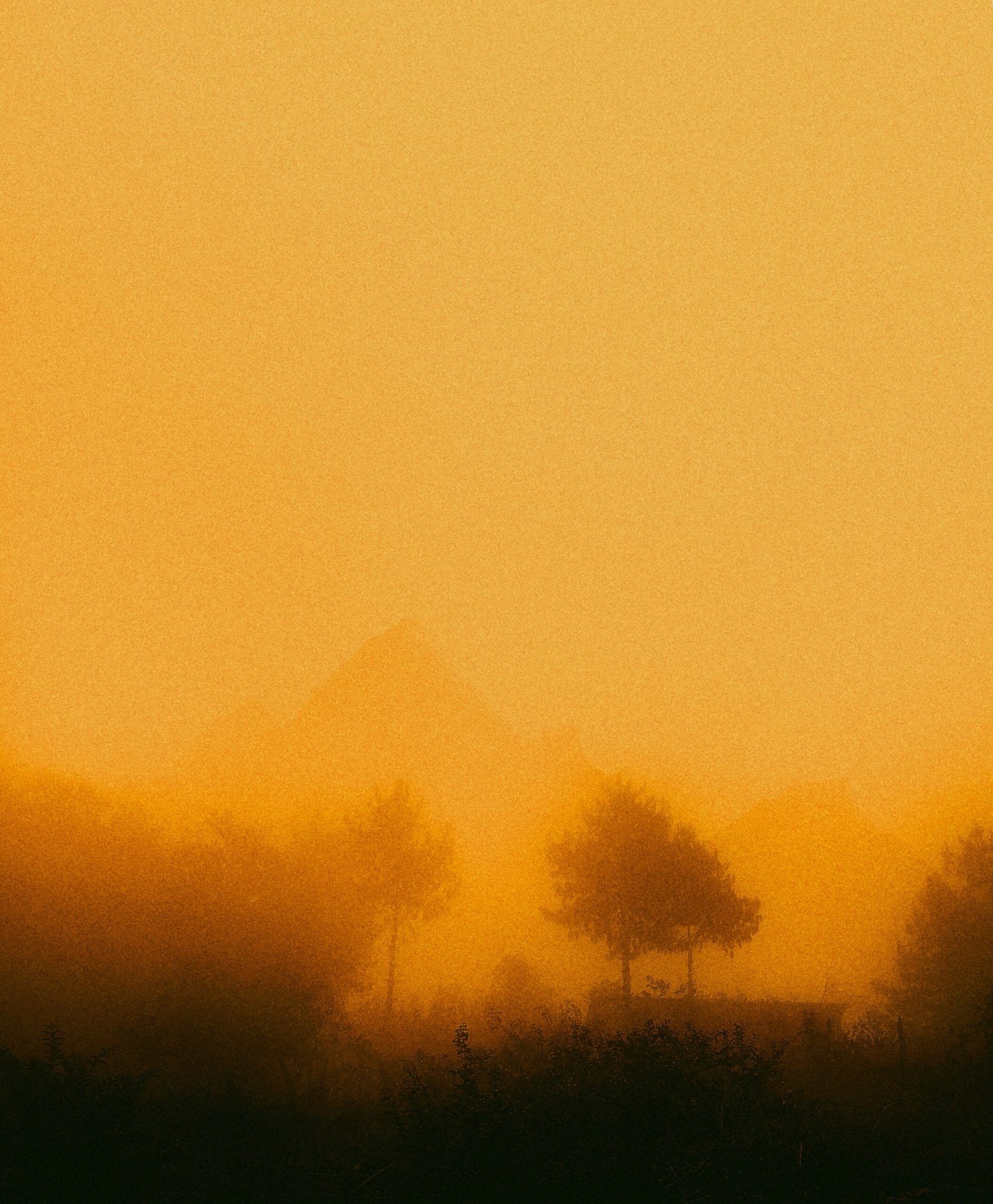 A sandstorm by the pyramids of giza