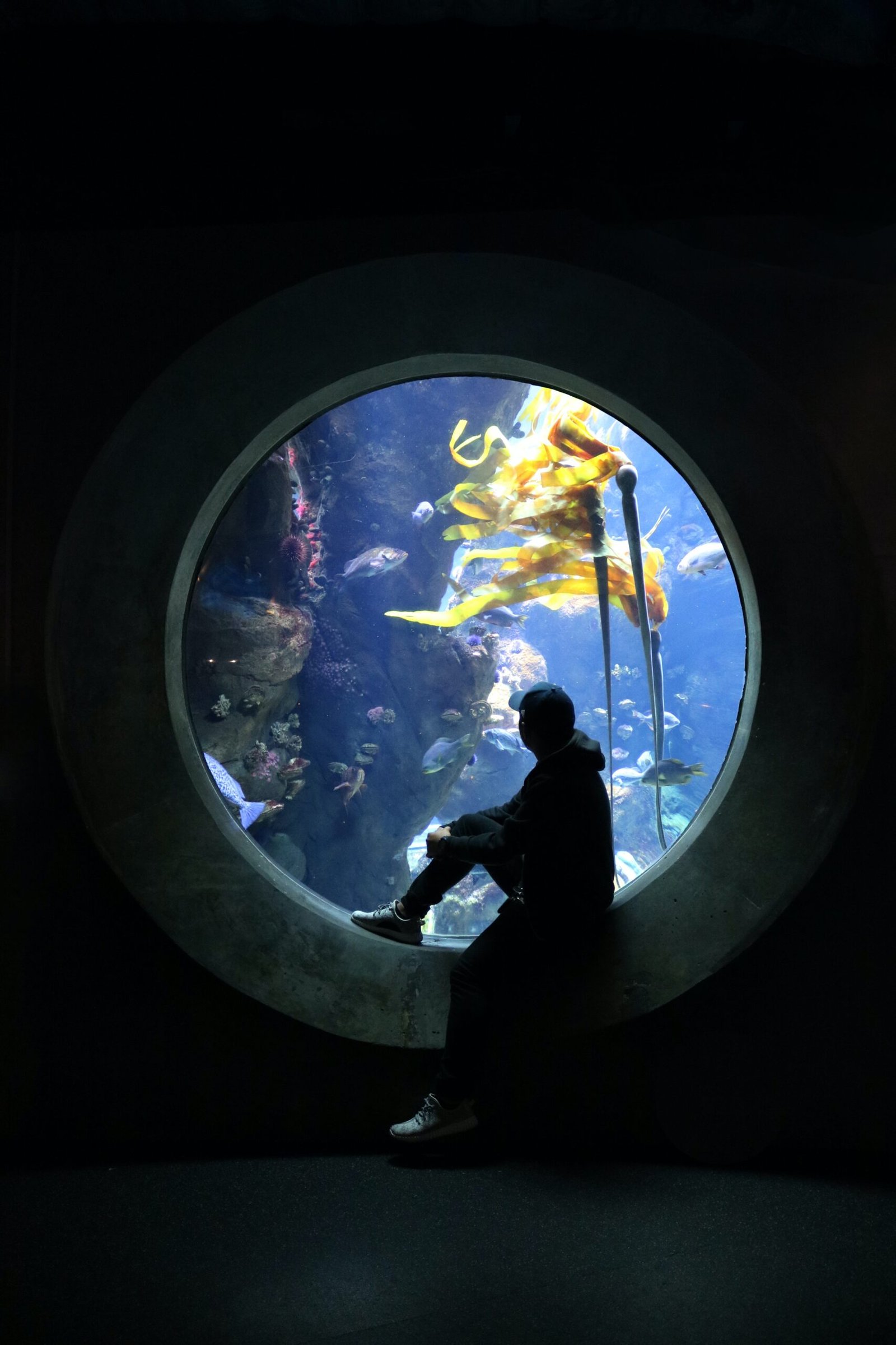A man looking through a circular window into an aquarium